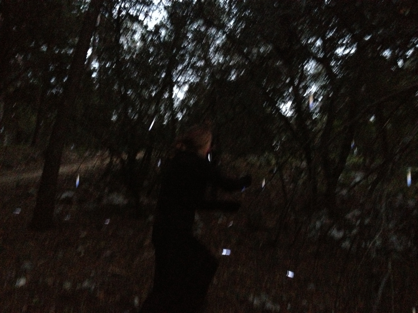 Still from Anthony Spring’s short film TWICE, a figure in a nocturnal forest atmosphere